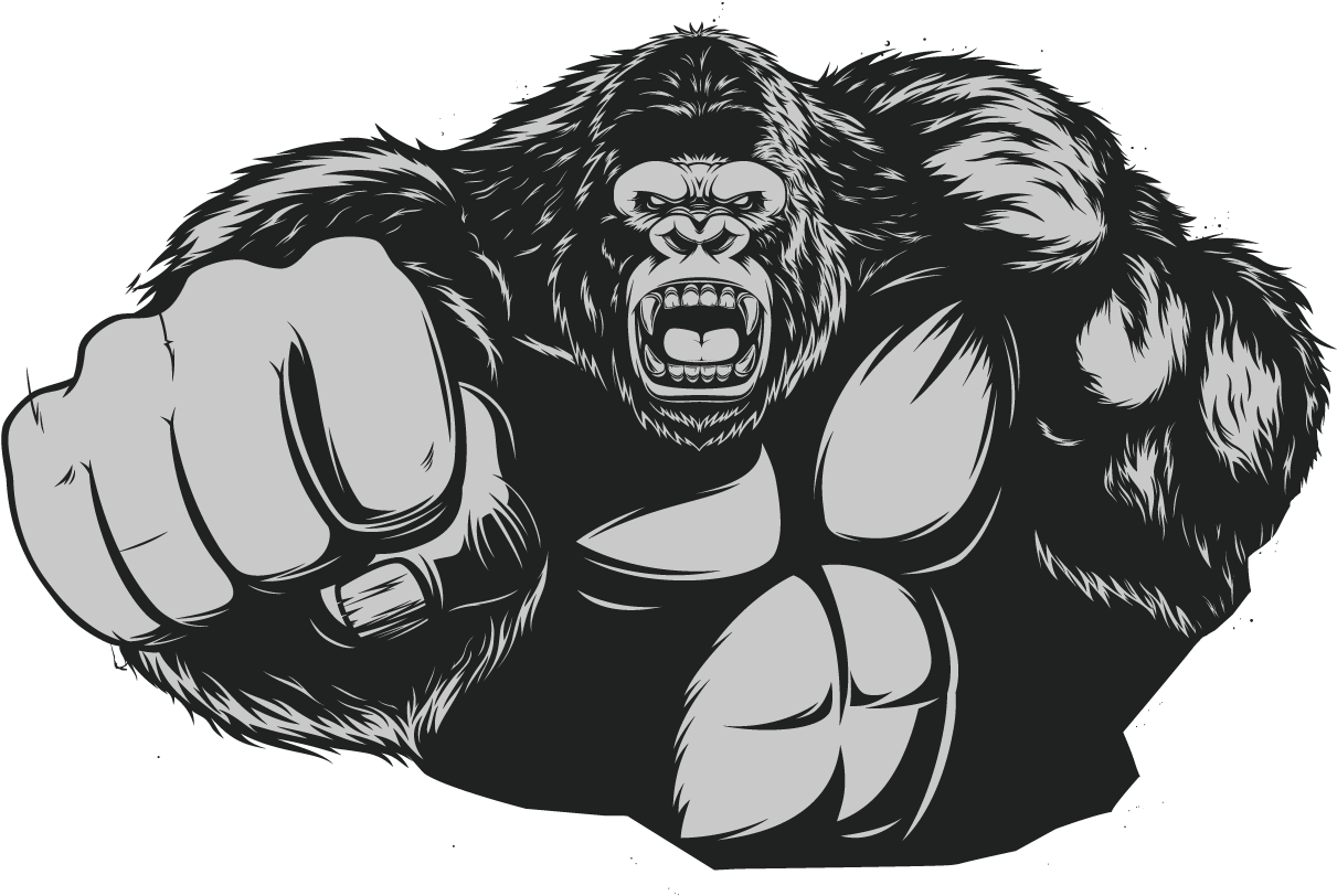 Western Gorilla Chimpanzee Muscle - Gorilla (1276x1276), Png Download