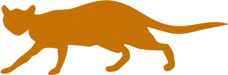 Feline - Animals Cat Dog Cow Elephant Lion (800x600), Png Download