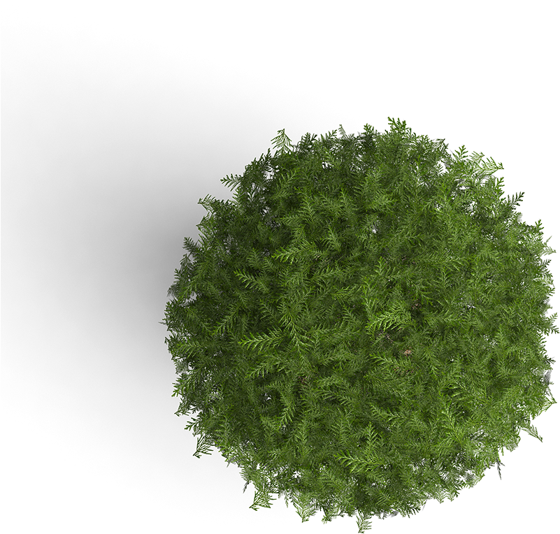 Some Of Our Clients - Cipres En Planta (800x805), Png Download