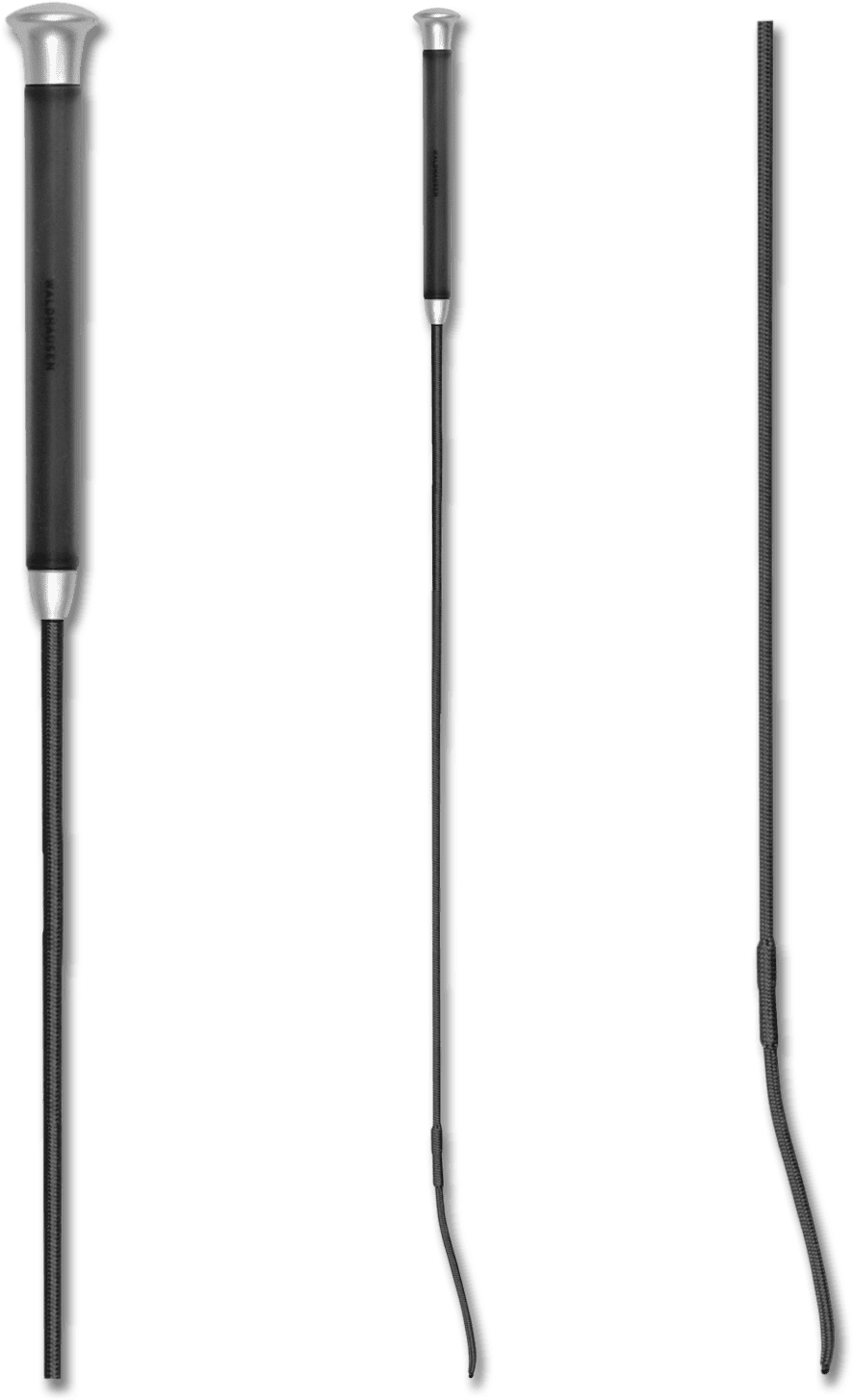 Dressage Whip With Gel Grip - Agujas De Acupuntura Dibujos (1400x1600), Png Download