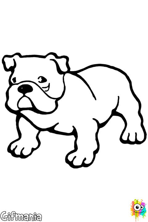 Drawing Bulldogs Gangster Png Black And White Download - Bulldog Colouring Pages (480x720), Png Download