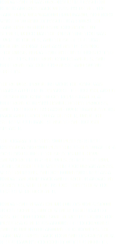 Ninja Gaiden Was Originally Released In North America - Colorfulness (405x887), Png Download