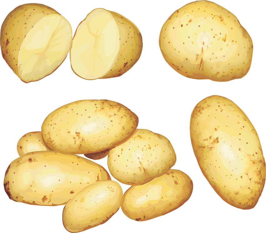 Free Png Potato Png Images Transparent - Potato Root Clip Art (850x744), Png Download