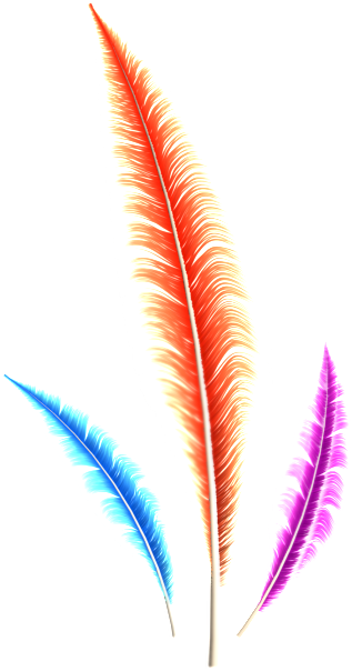 Dream Feather Png - Illustration (1024x682), Png Download