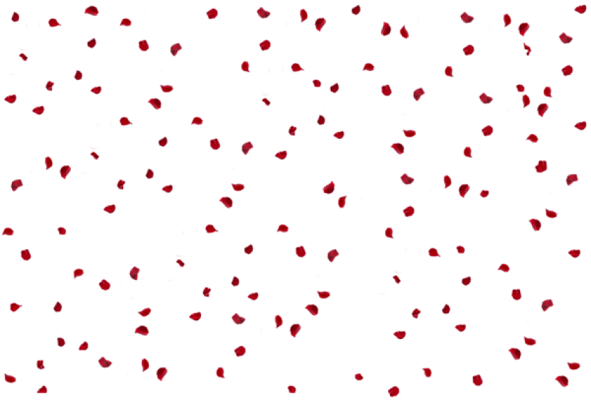 Free Png Rose Petals Effect Png Images Transparent - Rose Effect Png (850x576), Png Download