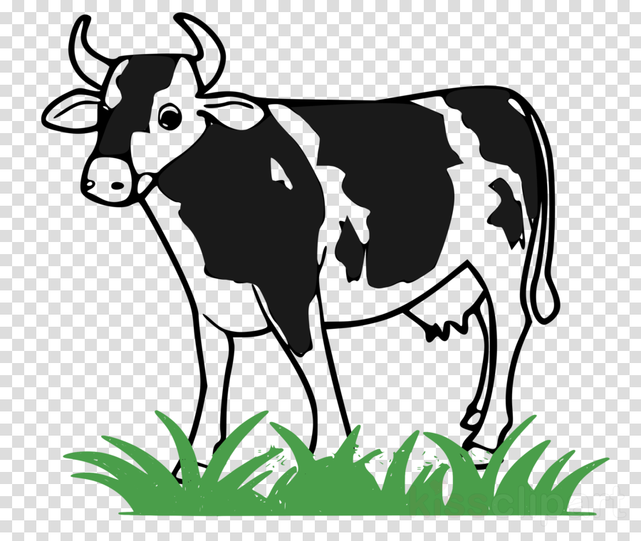 Cow Png Clipart Taurine Cattle Holstein Friesian Cattle - Cattle Cliparts (900x760), Png Download