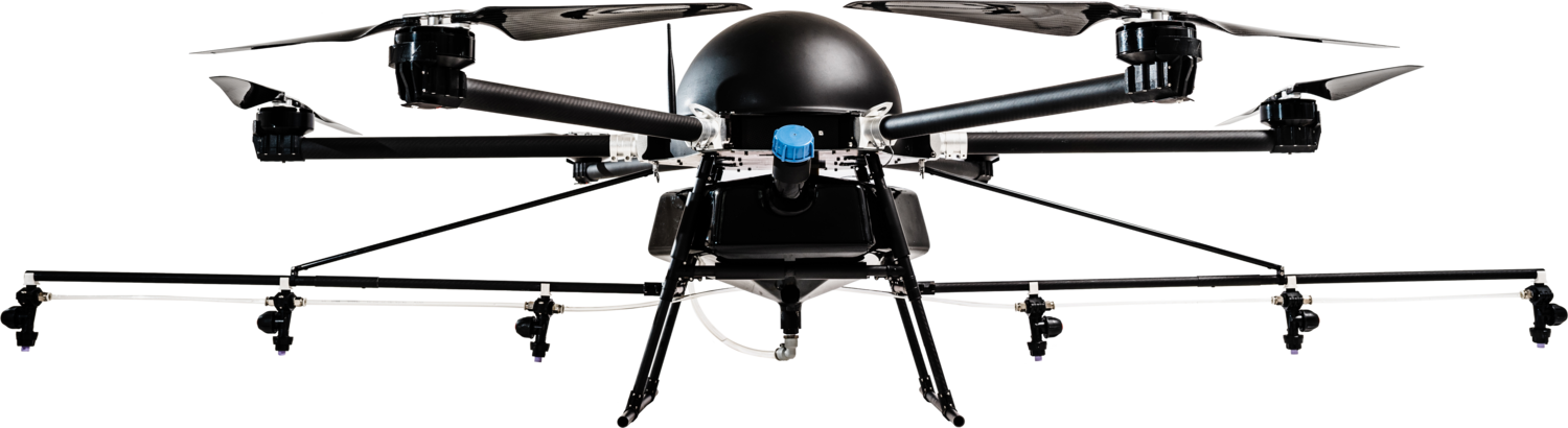 Traditionally, The Work Of Reforesting Is Done Mostly (1500x410), Png Download