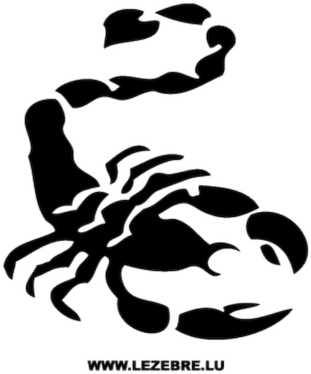 Scorpion Tattoo Magnet (800x800), Png Download