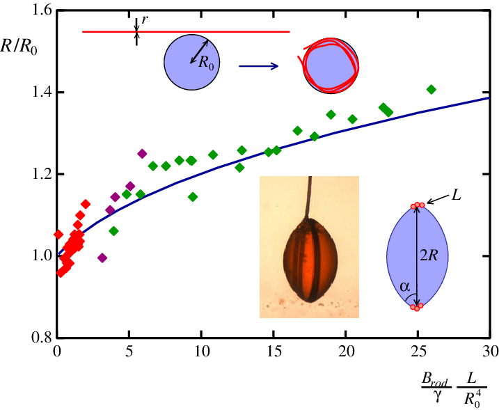 Liquid Droplet Maintained In Levitation In A Bath Of - Liquid (717x589), Png Download