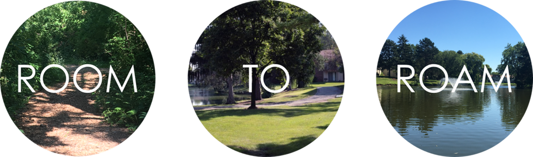 Arbor Lakes Offers What Most Communities Can't - Samrat Miley Jab Hum Tum (1097x323), Png Download