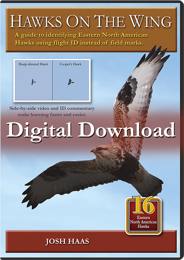 Hawks - Buzzard (776x891), Png Download