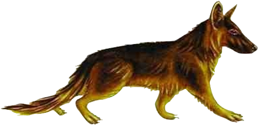 Tomarctus - Tomarctus Dog (524x254), Png Download