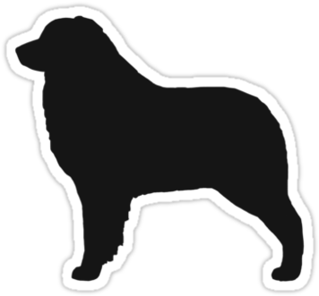 Australian Shepherd Silhouette ' Sticker By Jenn Inashvili - Silhouette Of Australian Shepherd (375x360), Png Download