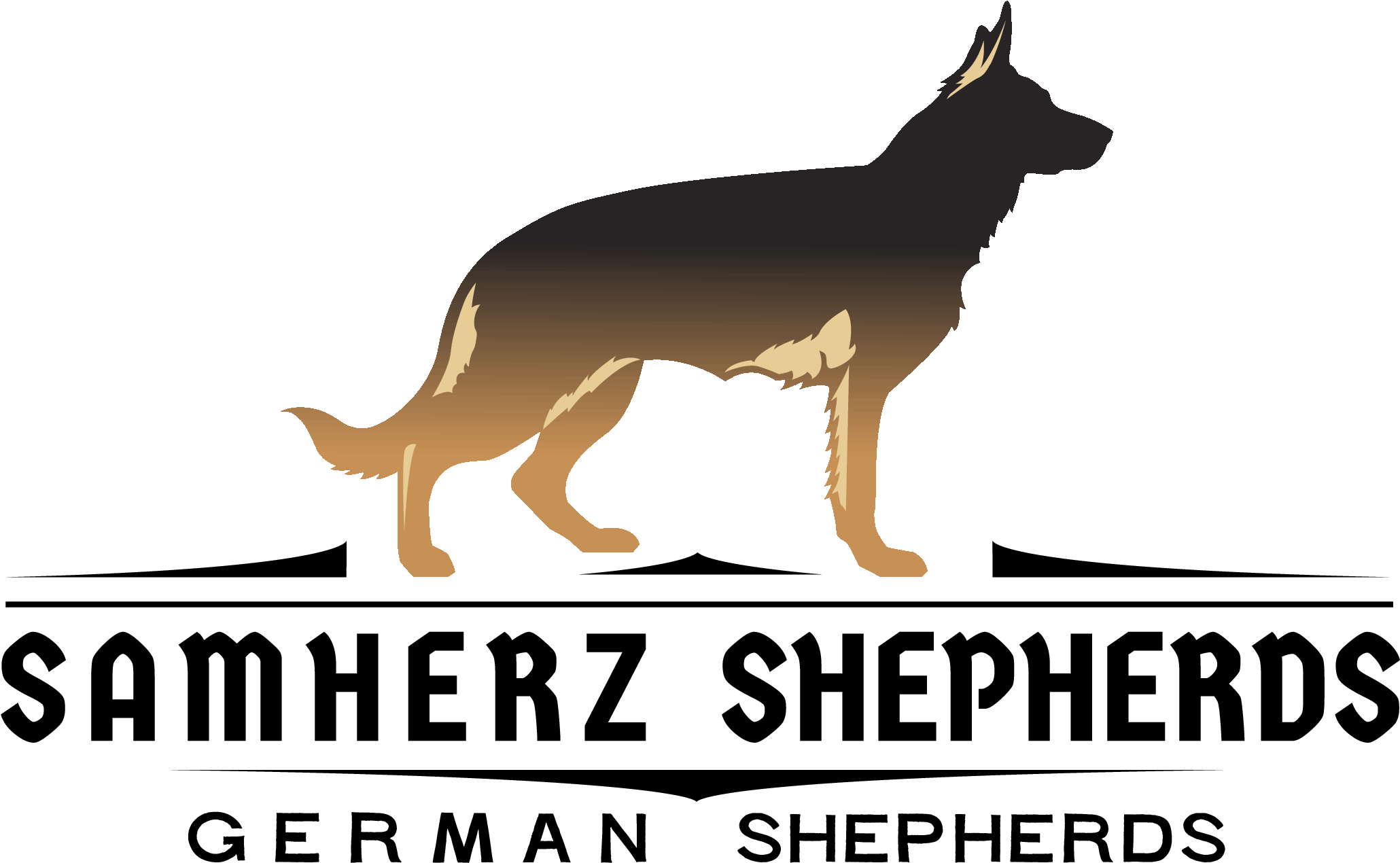 Old German Shepherd Dog (3300x2550), Png Download