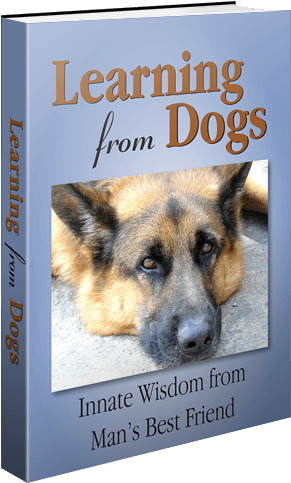 Learning From Dogs - Learning From Dogs: Innate Wisdom From Man's Best Friend (306x500), Png Download