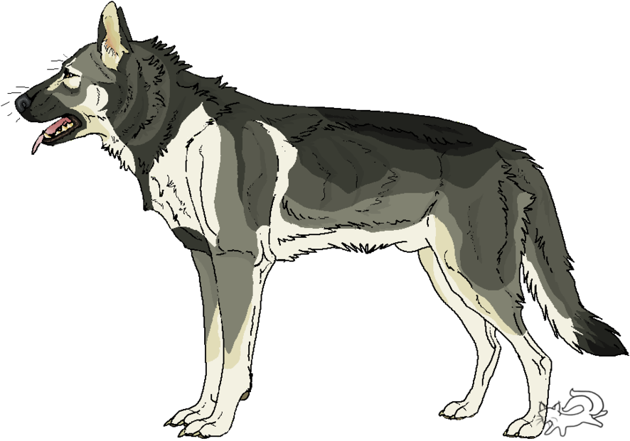 Grey Sable German Shepherd By Furbyprince - Sable German Shepherd Drawing (900x654), Png Download