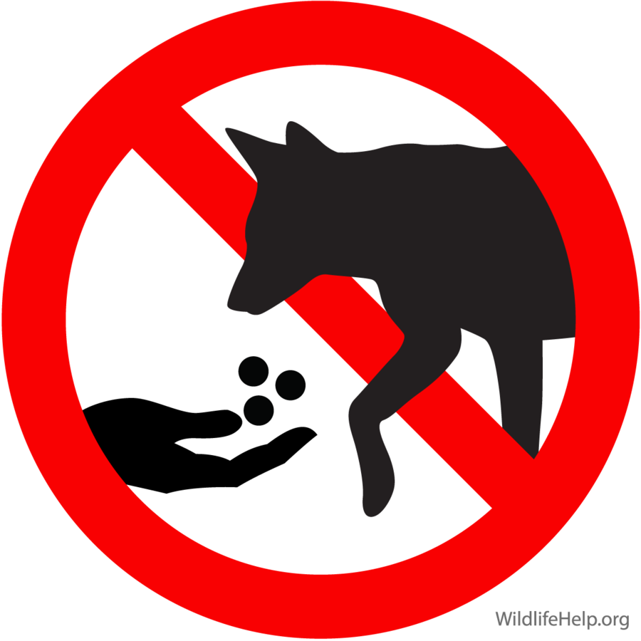 Do Not Feed Dog Clipart Coyote German Shepherd Puppy - Don T Feed Animals (900x900), Png Download