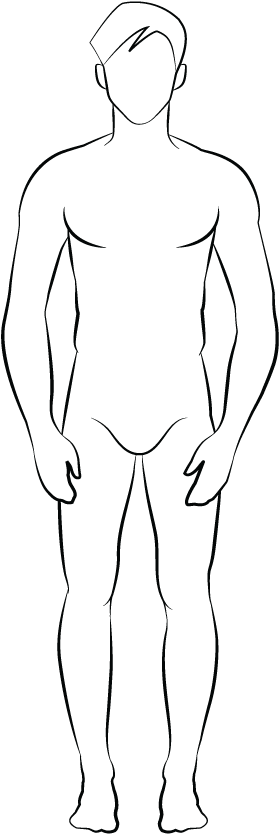 Labelled Spine - Line Art (300x1000), Png Download