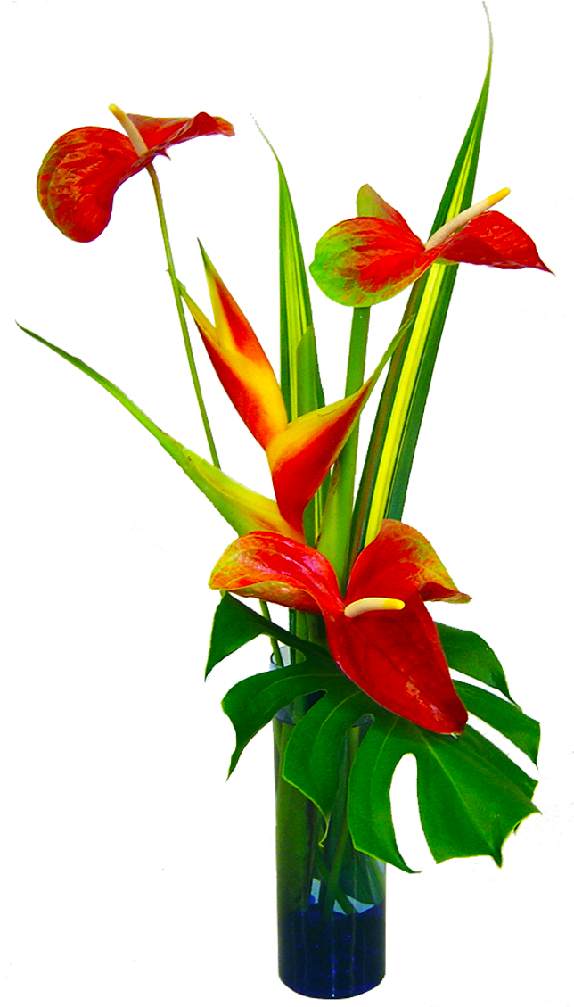 Kalapana Tropical Hawaiian Flowers Bouquet - Flower (1200x1200), Png Download
