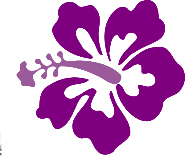 Collection Of High Quality Violet Pencil - Hibiscus Clip Art (600x513), Png Download