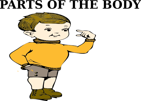 Download Parts Of The Body Clip Art At Clker Body Clipart Png - Part Of ...