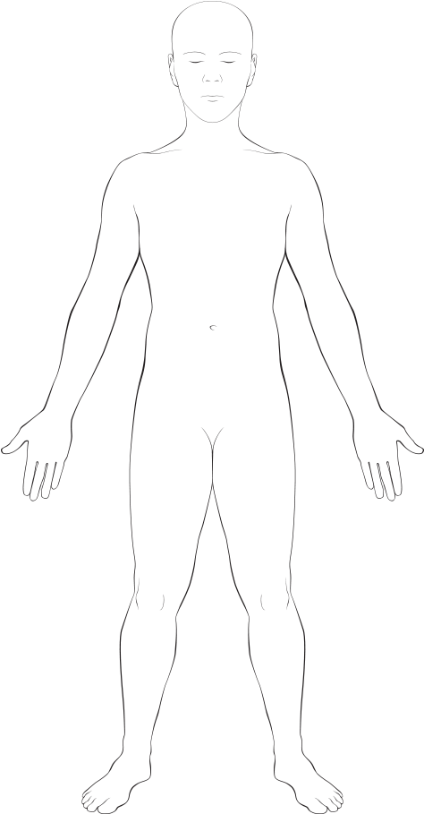 Interactive Body - Sketch (500x959), Png Download
