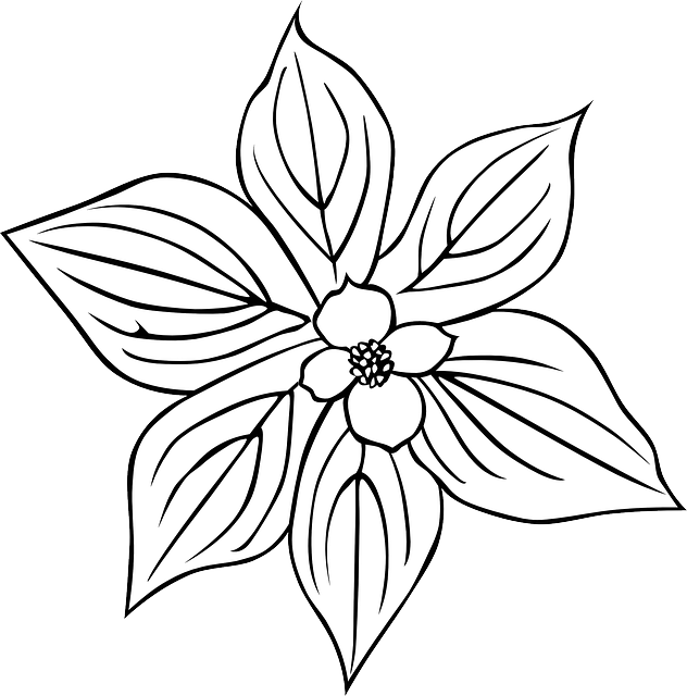 Black, Outline, Plants, Flower, Flowers, Outlines - Outline Of A Flower (632x640), Png Download