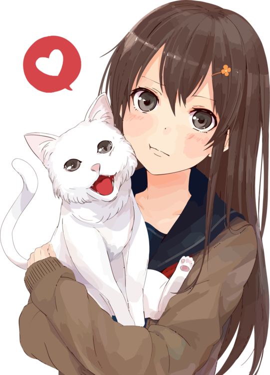 Download Transparent Brown Hair Anime Catgirl Drawing - Anime Girl With