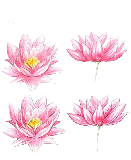 Jpg Transparent Stock Flowers Watercolor Painting Lotus - Watercolor Flowers Easy Draw (722x594), Png Download