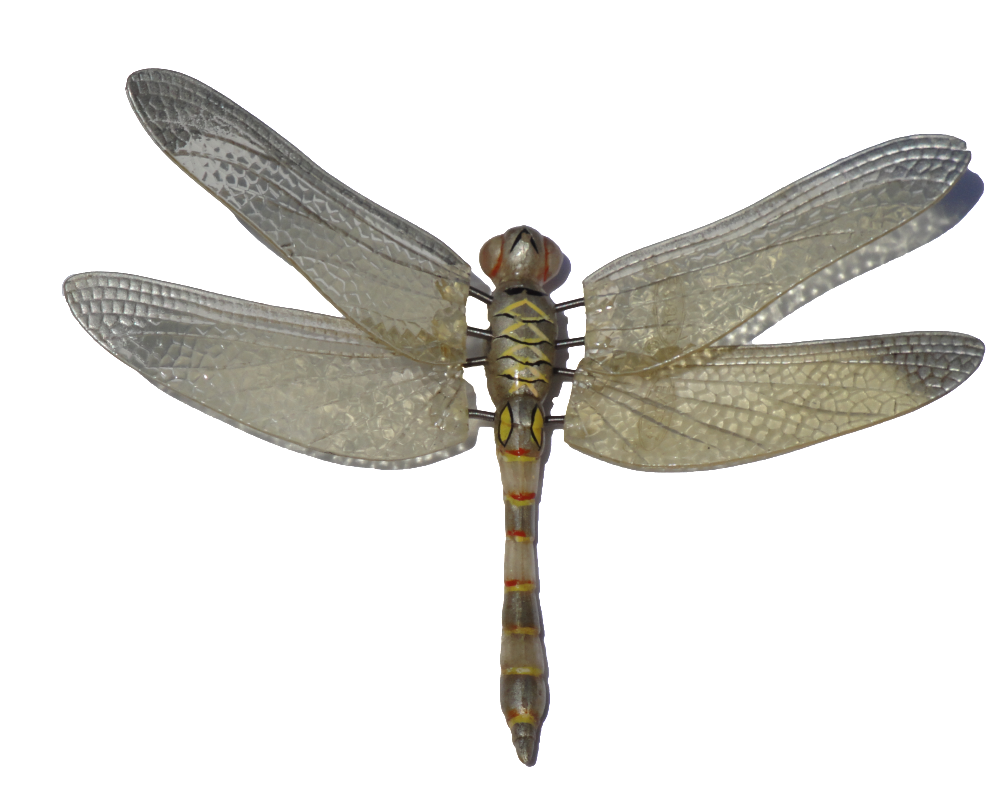 Colorful Vector Dragonfly - Dragonfly Png (1024x804), Png Download