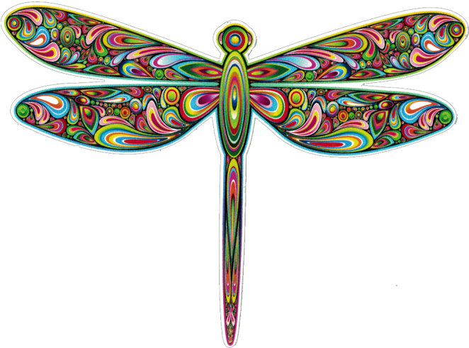 Bumper Sticker / Decal - Psychedelic Dragonfly (661x500), Png Download