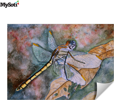 Product Blog - Artwall Derek Mccrea 'dragonfly' Gallery-wrapped Canvas (518x518), Png Download