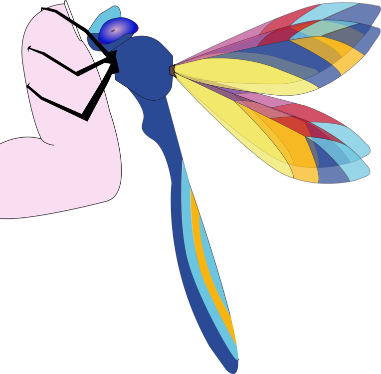 Computer Icons Art Dragonfly Thumbnail Insect - Custom Colorful Dragonfly Mugs (764x750), Png Download