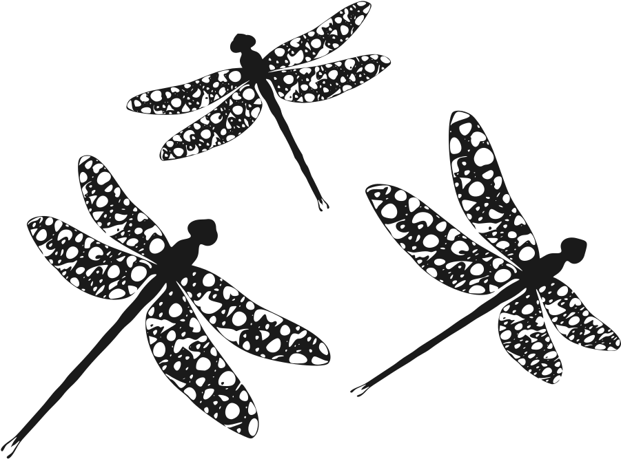 Clipart Dragonfly Transparent (1000x760), Png Download