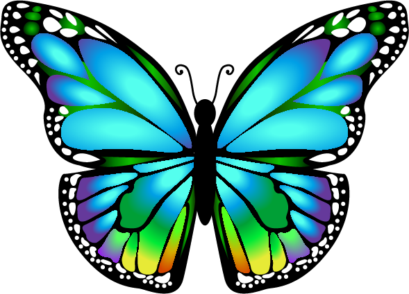 Butterfly Mariposa Ms - Butterfly Clip Art (589x424), Png Download