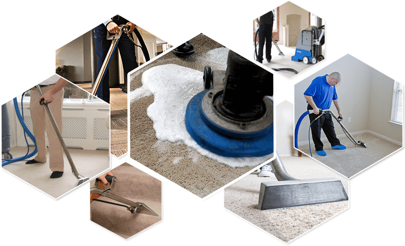 Swipe Left & Right - Carpet Cleaning Services (831x504), Png Download