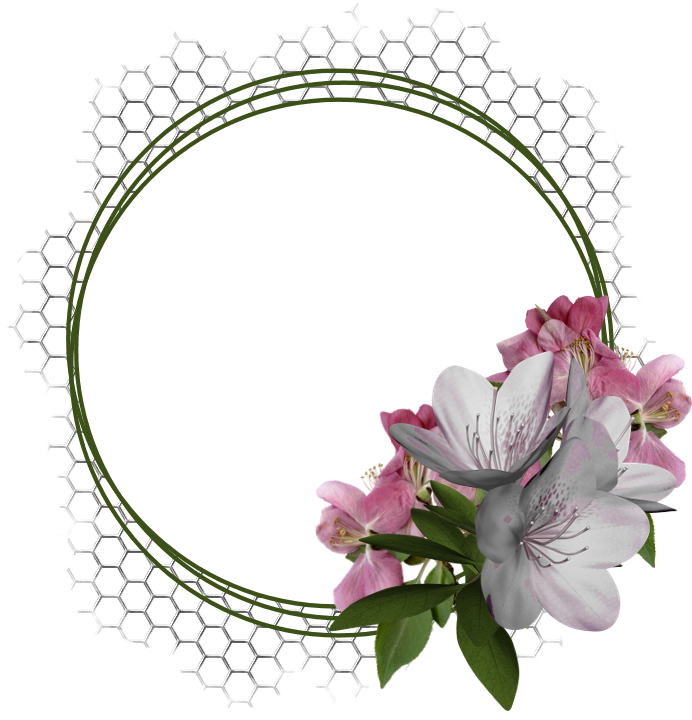 0 4f80f 291b95e1 Orig - Çiçekli Yuvarlak Png (773x800), Png Download