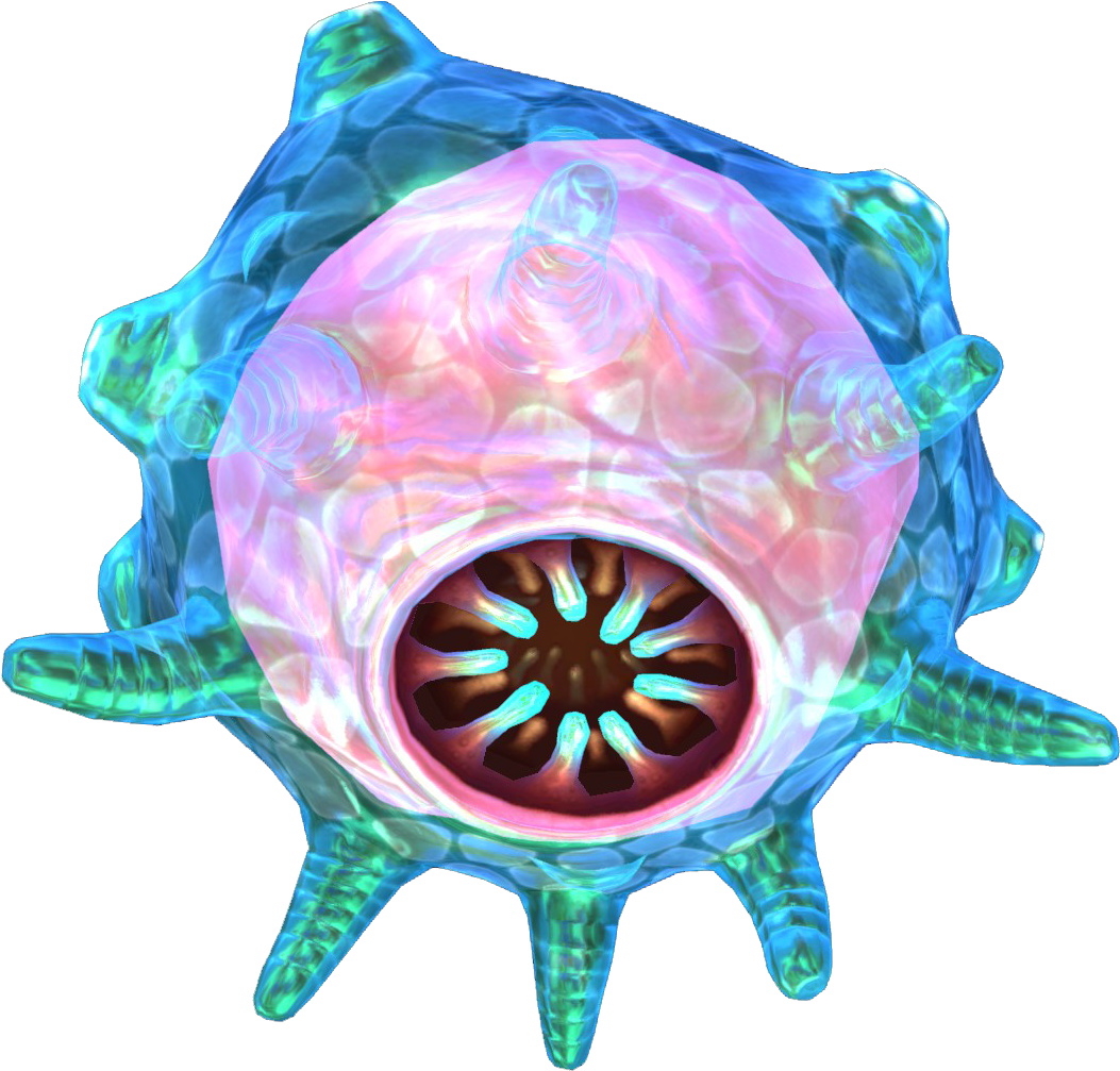 Fauna (1920x1080), Png Download