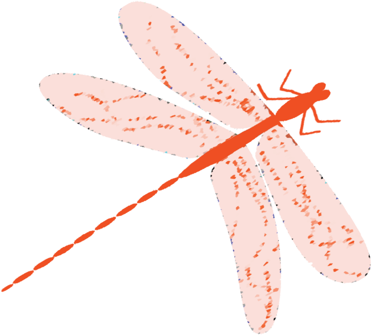 Dragonfly - Portable Network Graphics (1000x981), Png Download