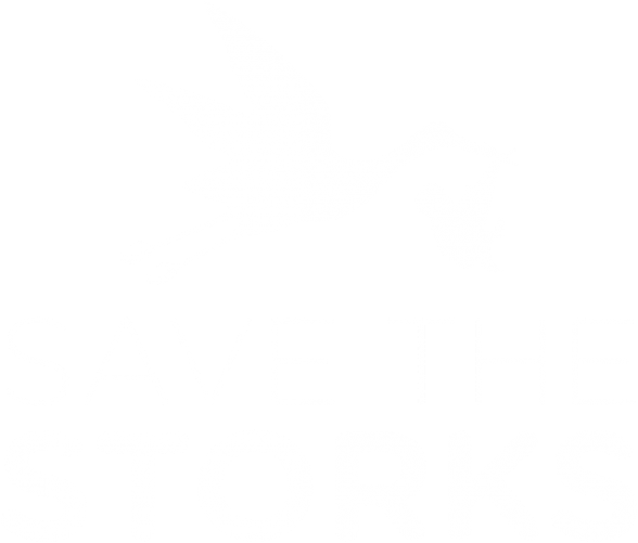 Our Storks Partnership - Save The Storks (600x540), Png Download