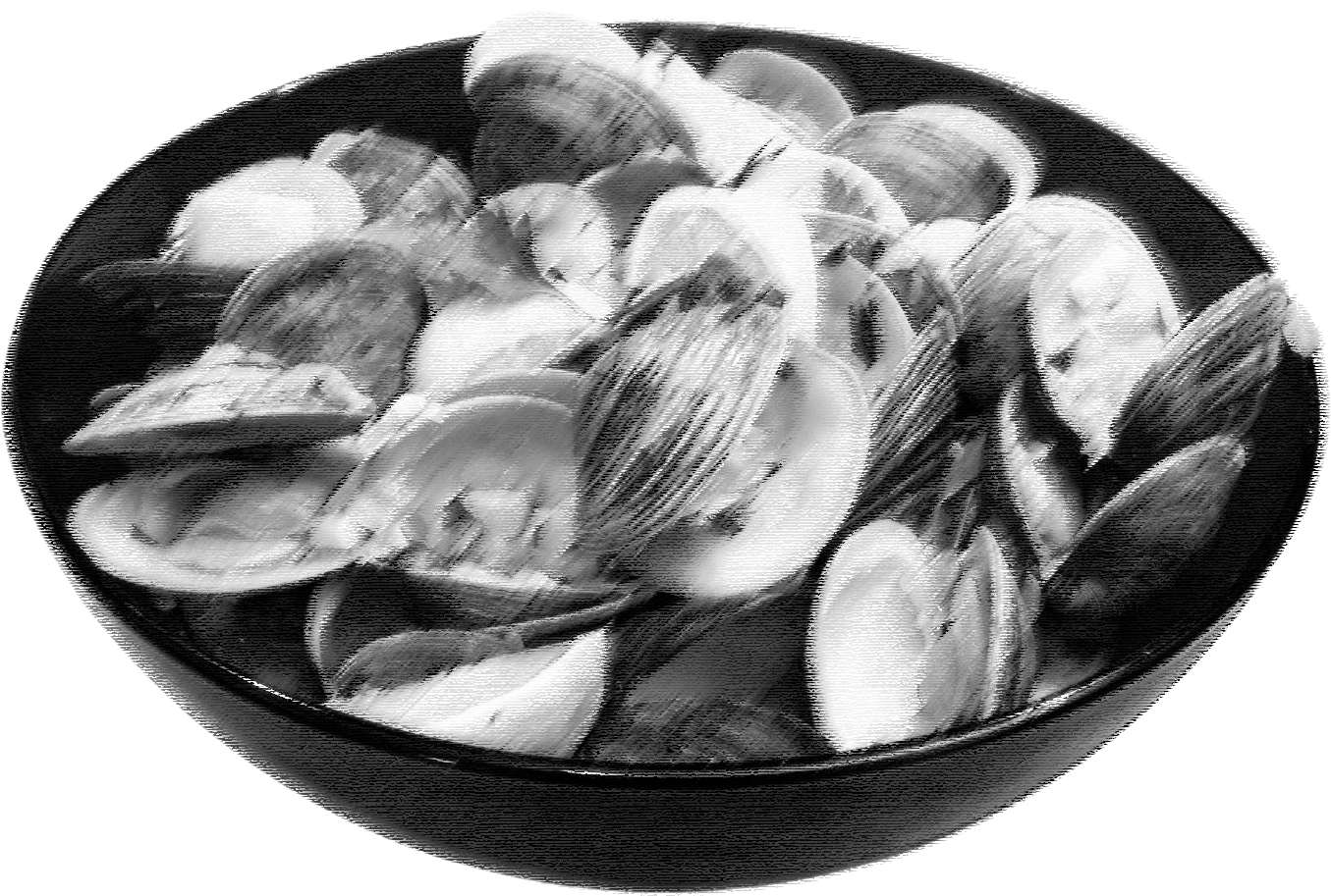Clams - Monochrome (1411x960), Png Download
