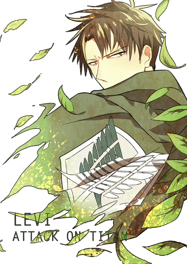 Attack On Titan - Attack On Titan Levi Needlefelted (600x848), Png Download