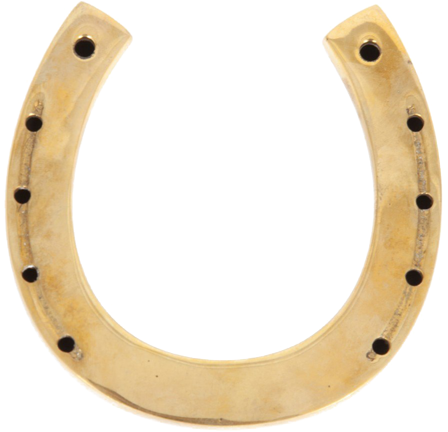 Horseshoe Png Free Download - Download (1500x926), Png Download