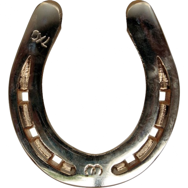 Horseshoe Png Transparent (600x600), Png Download