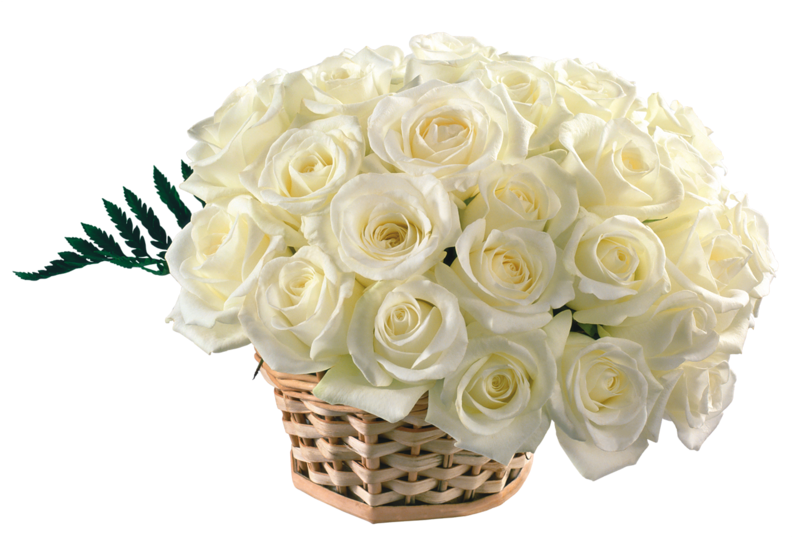 White Roses In Baskets - 8 March Women's Day Yellow Rose Bunch (800x536), Png Download