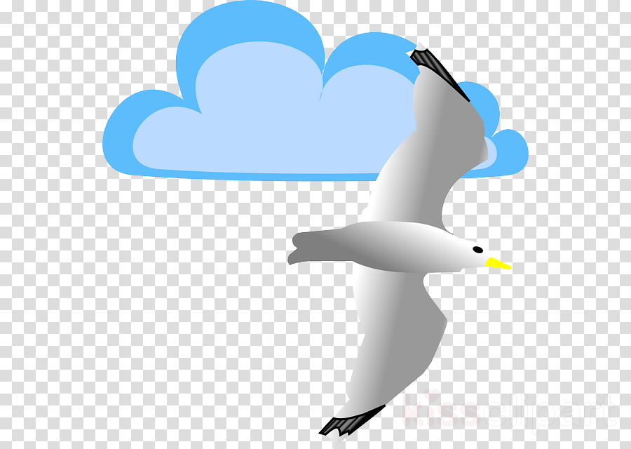 Gaviota Animada Png Clipart Gulls Bird Clip Art - Clip Art (900x640), Png Download