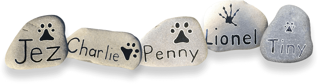 Hawke's Bay (1113x292), Png Download