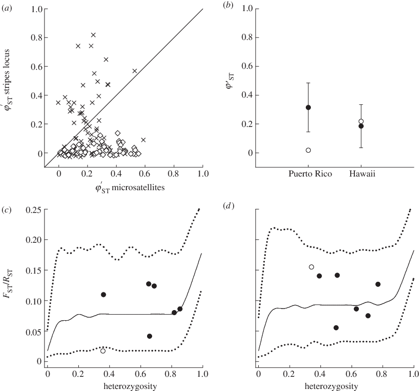 Pairwise W 0 St Between Populations Of E - Diagram (829x773), Png Download