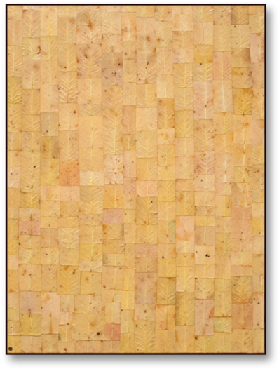 Textured 'painting' Bark No - Plywood (1000x622), Png Download