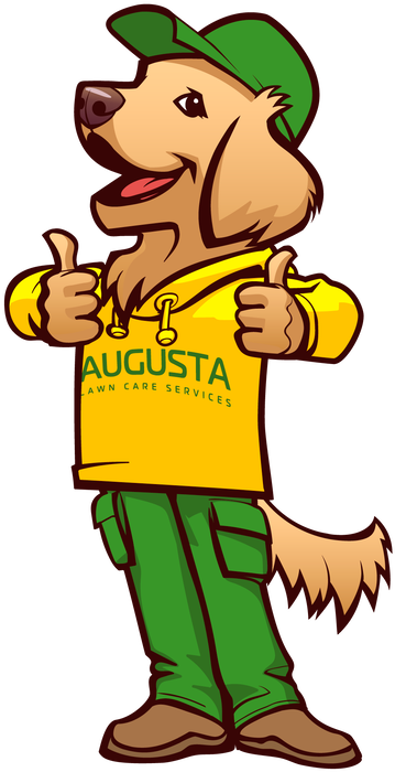 Augusta Lawn Care - Augusta Lawn Care Services (473x800), Png Download